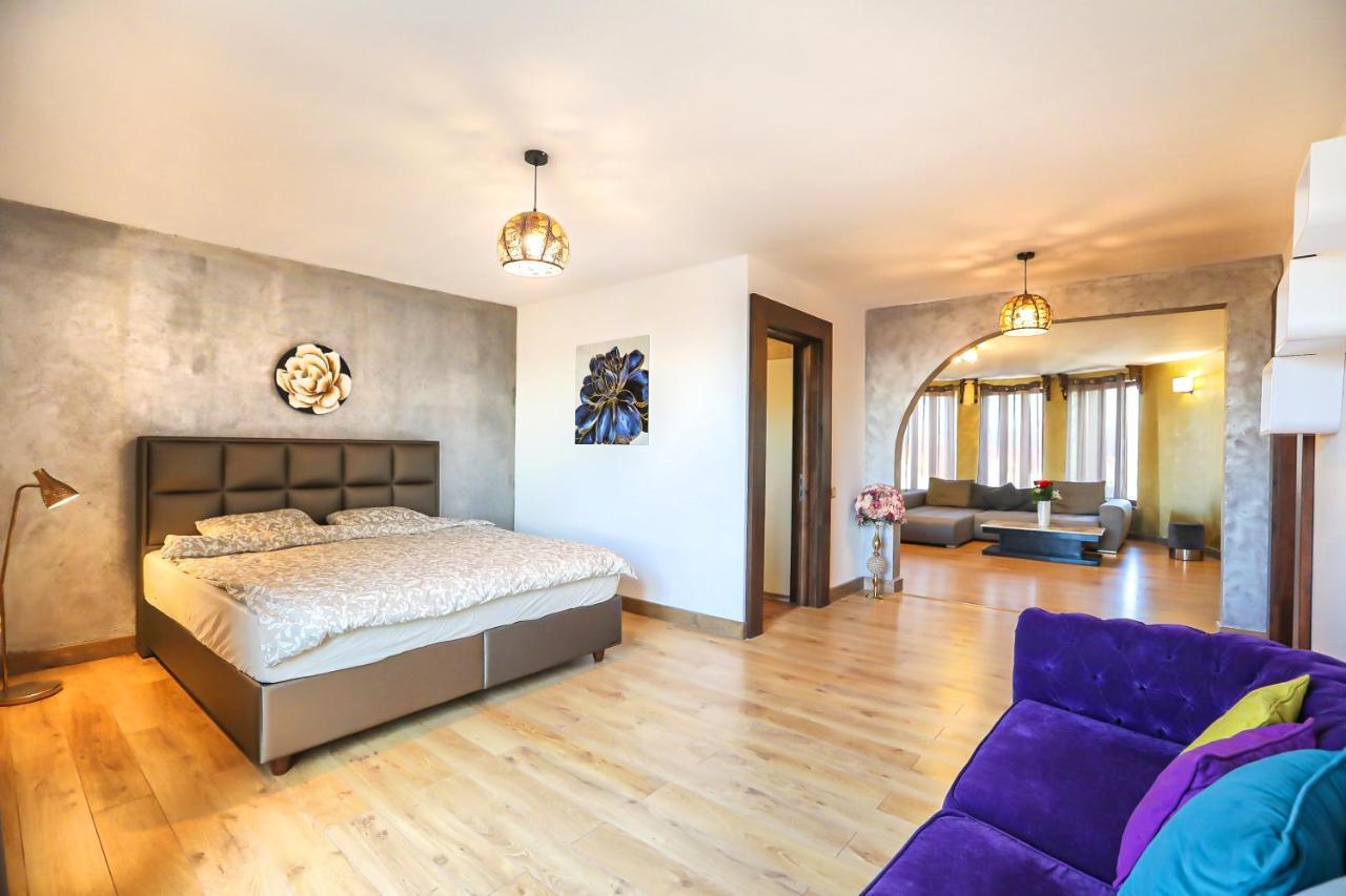 בראשוב Transilvania Mansion מראה חיצוני תמונה